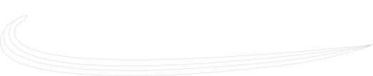 New World Van Lines